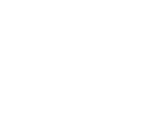 logotype couleur de secuvigie